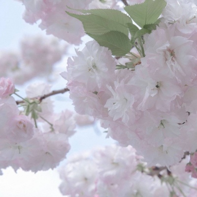 兽设背景故事创作福瑞交流群